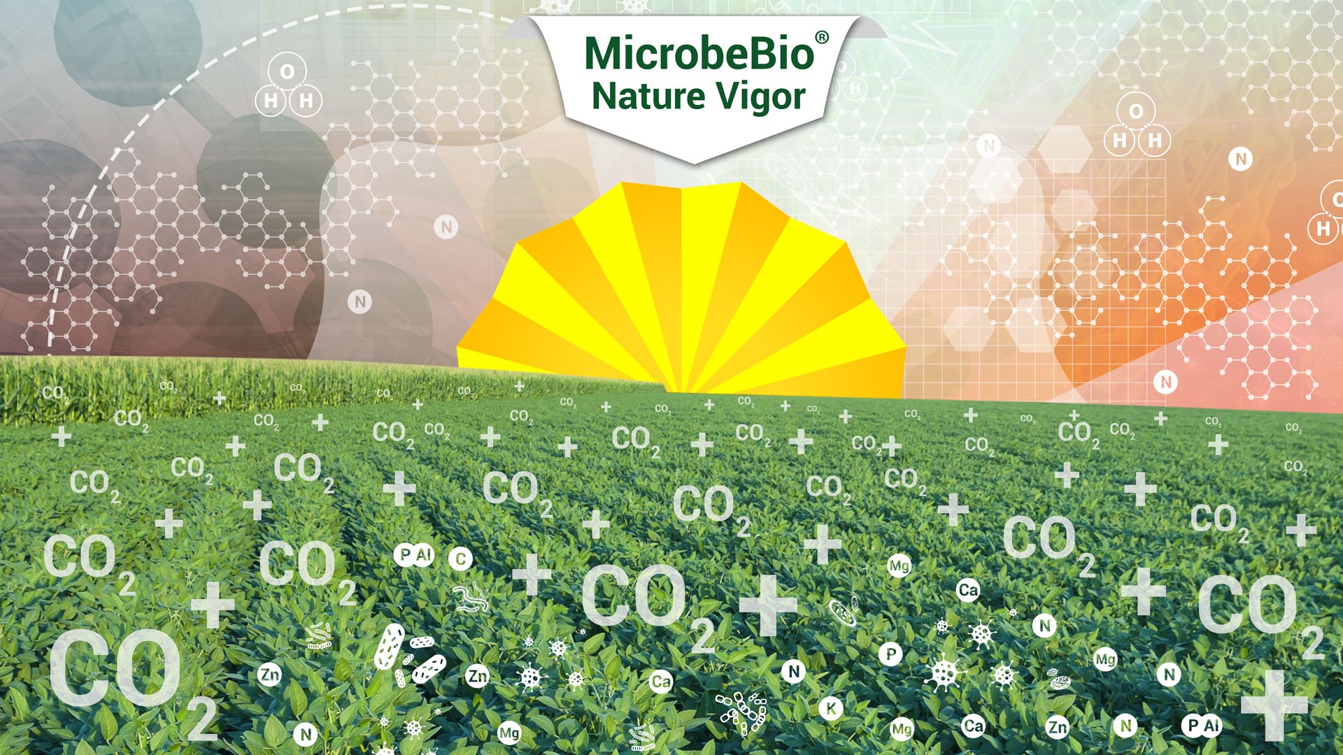 Microbebio