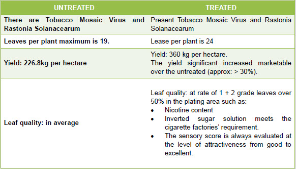 Fertilizer Microbial