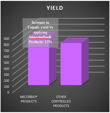 microbebio tomato result in zambia