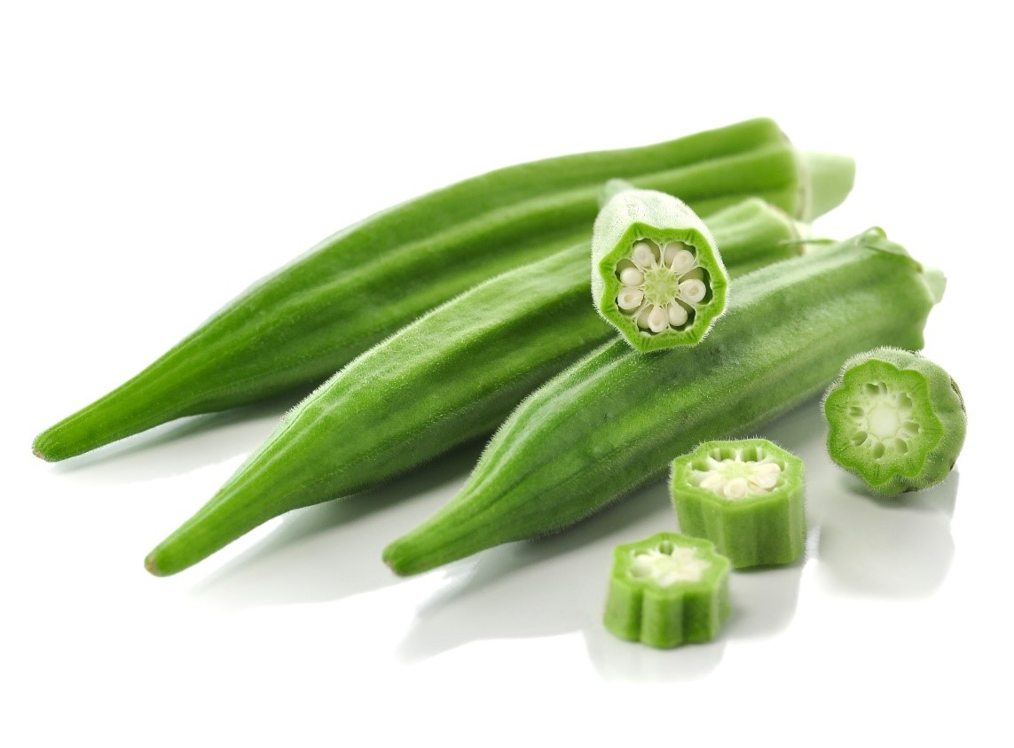 MICROBEBIO OKRA RESULTS IN NIGERIA