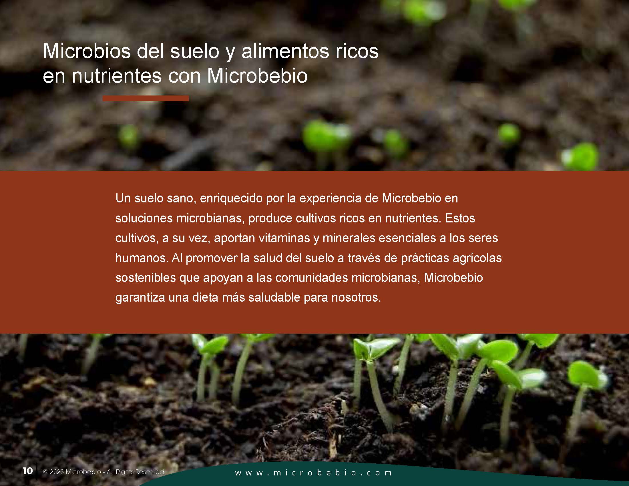 Un héroe silencioso para la agricultura sostenible y la salud humana