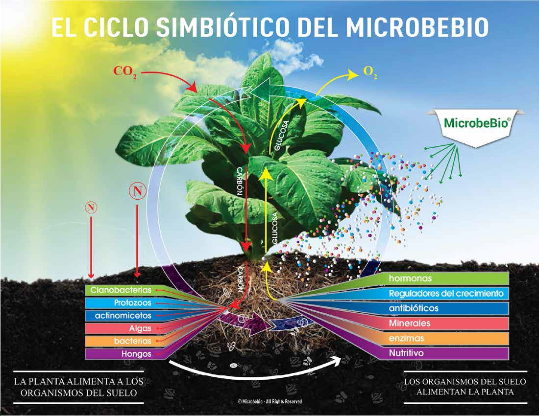 Un héroe silencioso para la agricultura sostenible y la salud humana