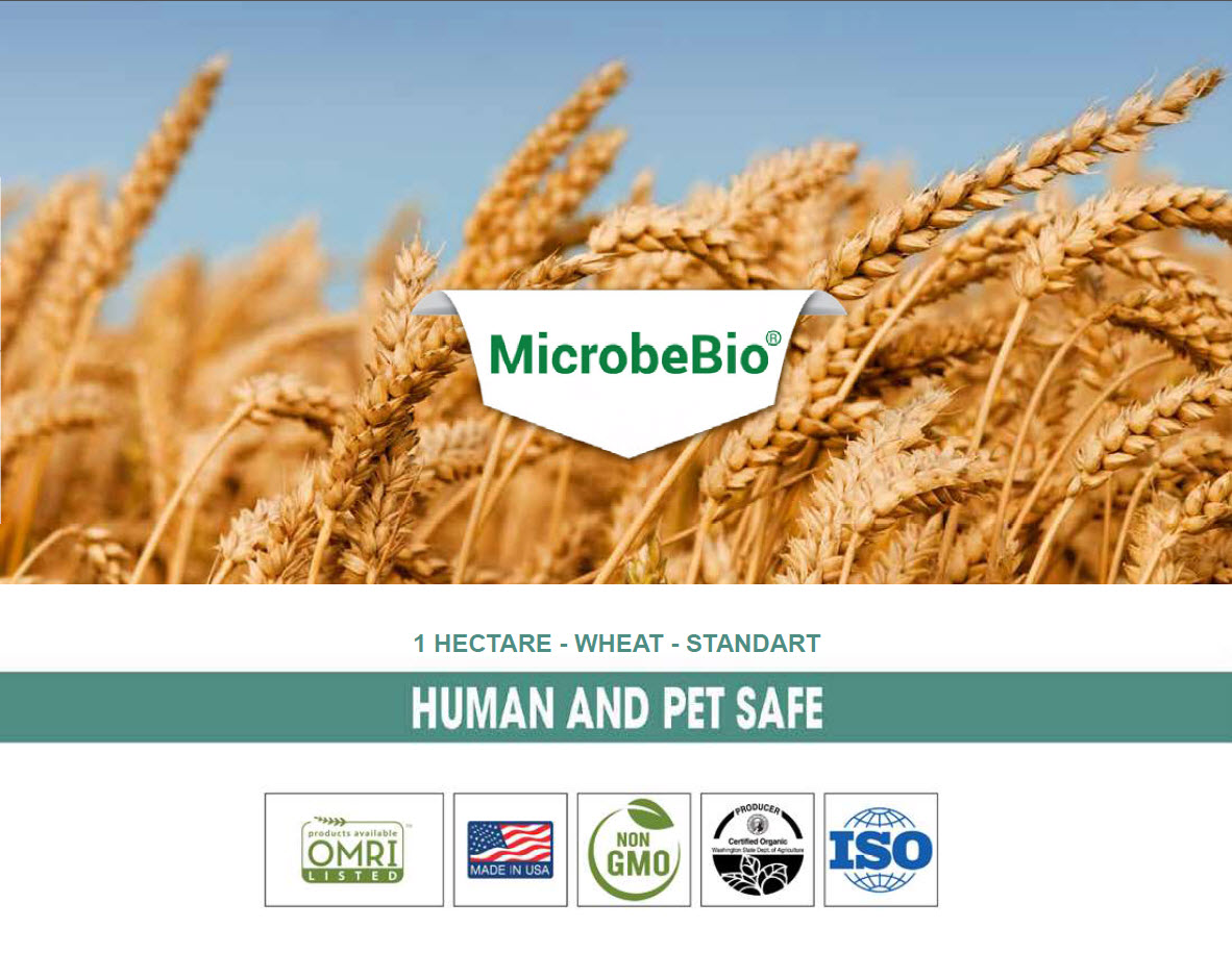 MICROBEBIO - WHEAT APPLICATION RATE - PEST PREVENT DISEASE