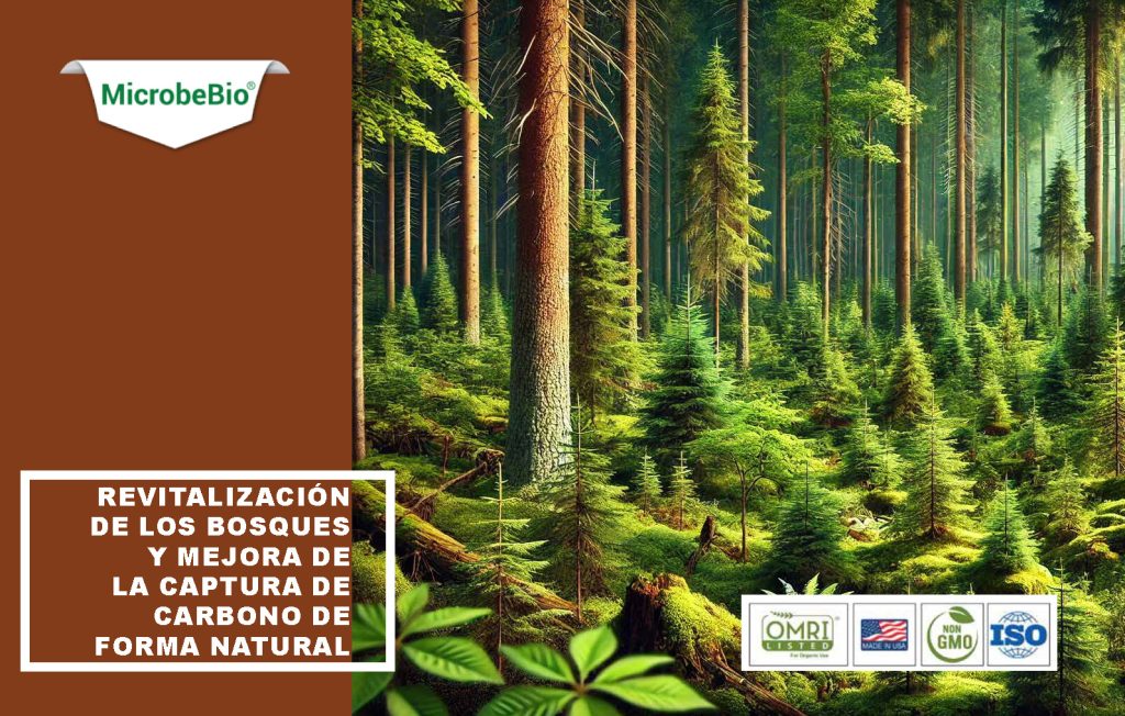 Microbebio: revitalización de los bosques y mejora de la captura de carbono de forma natural