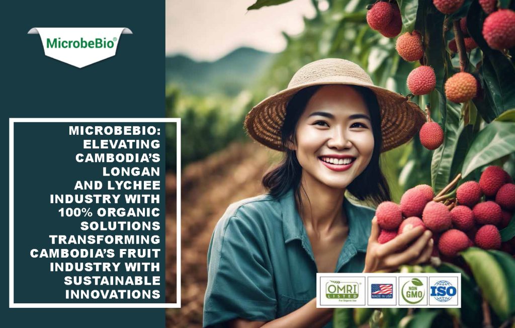 Microbebio: Elevating Cambodia's Longan and Lychee Industry with 100% Organic Solutions Transforming Cambodia’s Fruit Industry with Sustainable Innovations