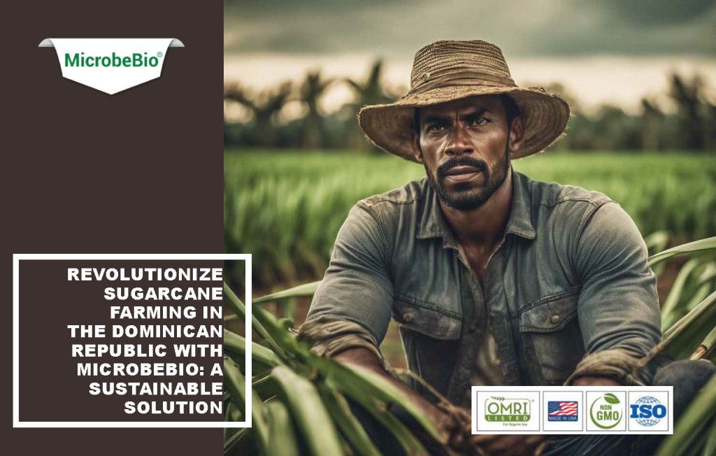 Revolutionize Sugarcane Farming in the Dominican Republic with Microbebio: A Sustainable Solution