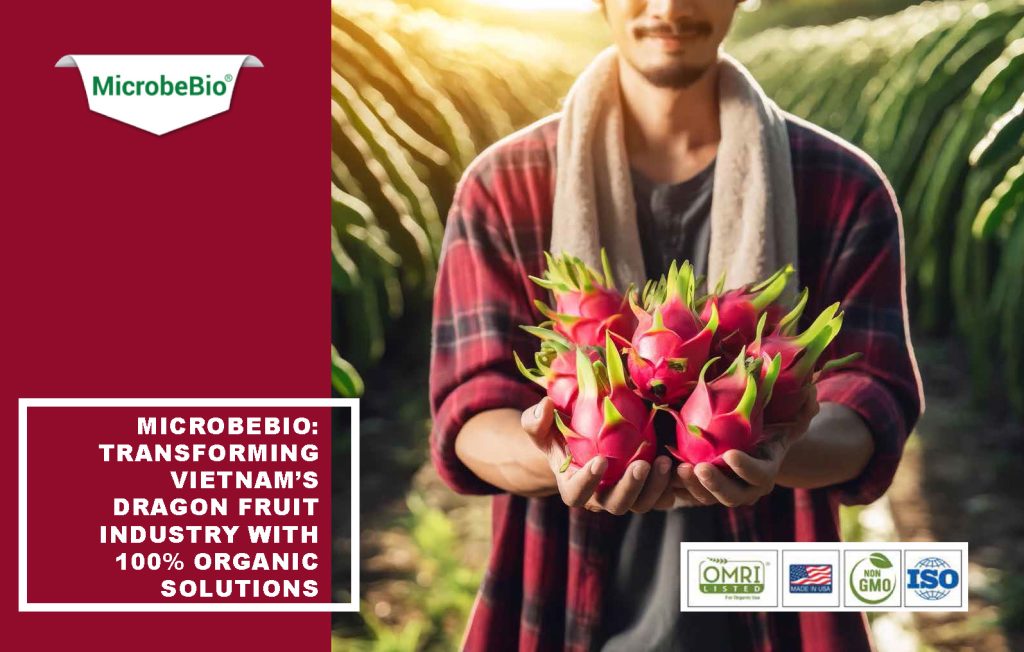 Microbebio: Transforming Vietnam's Dragon Fruit Industry with 100% Organic Solutions