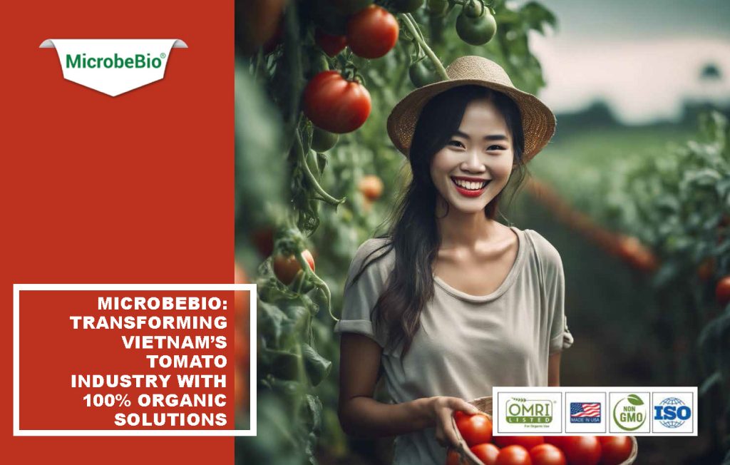 Microbebio: Transforming Vietnam's Tomato Industry with 100% Organic Solutions