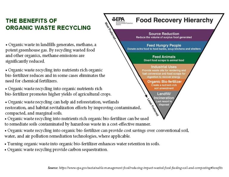 TURNING ORGANIC WASTE INTO ORGANIC BIOFERTILIZER - Microbial Fertilizer ...