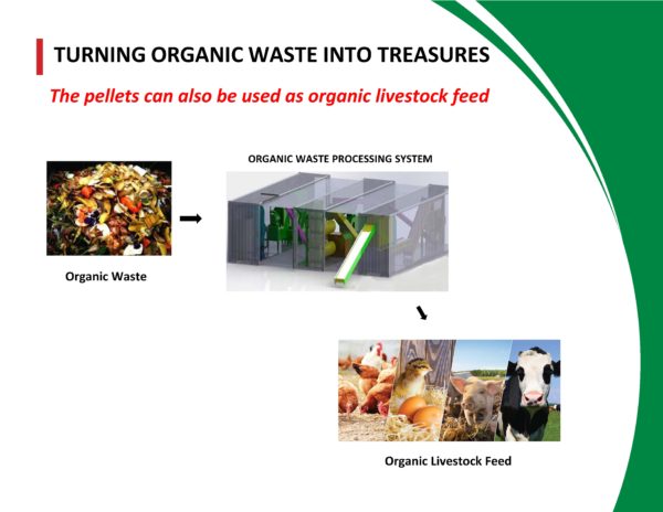 TURNING ORGANIC WASTE INTO ORGANIC BIOFERTILIZER - Microbial Fertilizer ...