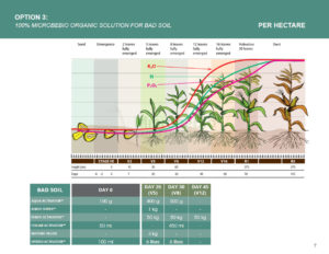 MicrobeBio Application Program For Corn - Microbial Fertilizer Organic ...