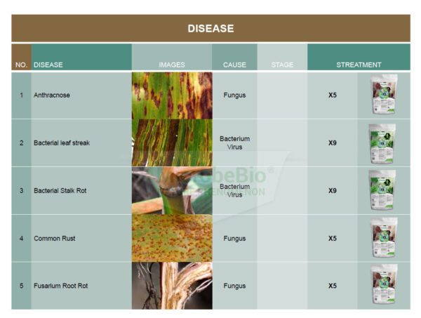 MicrobeBio Application Program For Corn - Microbial Fertilizer Organic ...