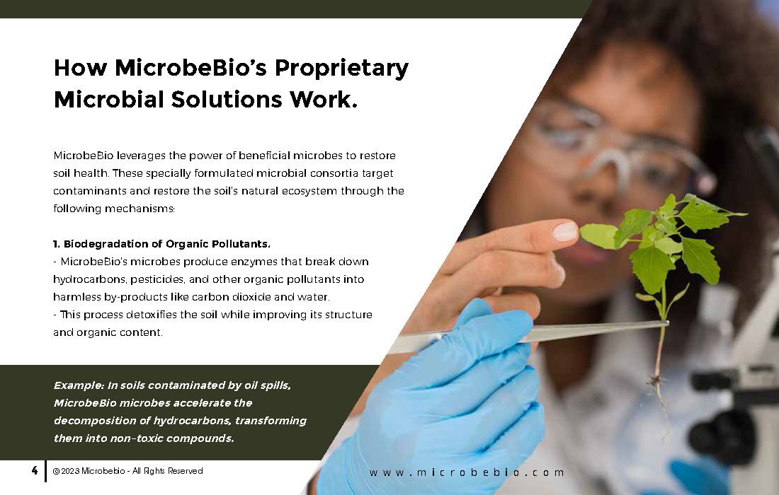 MICROBEBIO - Transforming Contaminated Soil