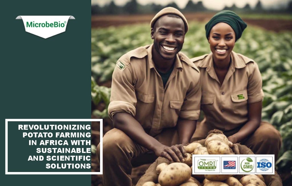 Revolutionizing Potato Farming in Africa with Sustainable and Scientific Solutions