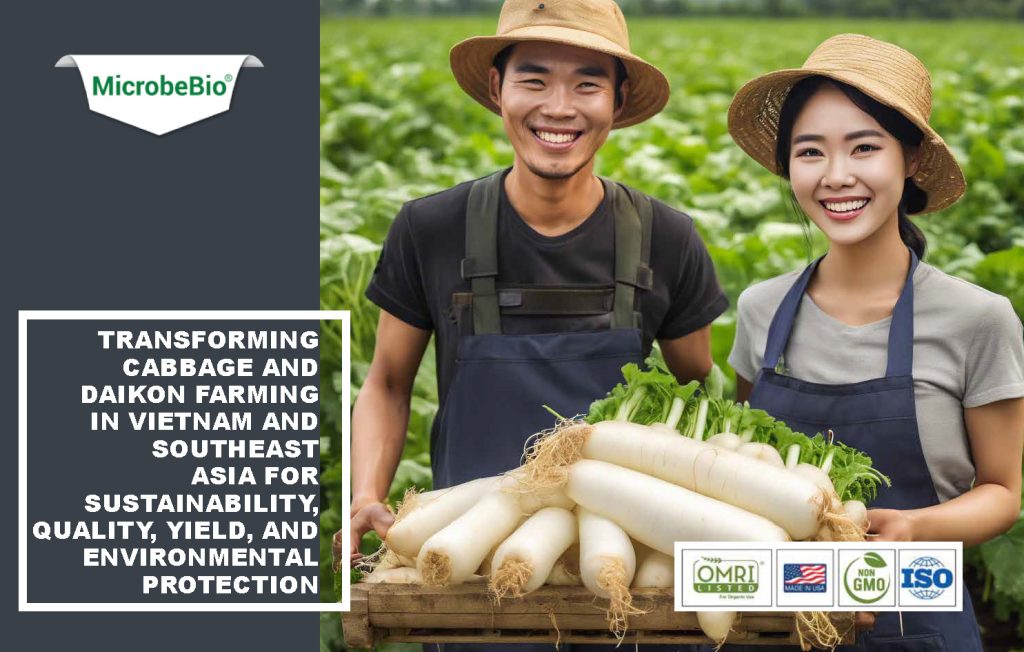 Transforming Cabbage and Daikon Farming in Vietnam and Southeast Asia for Sustainability