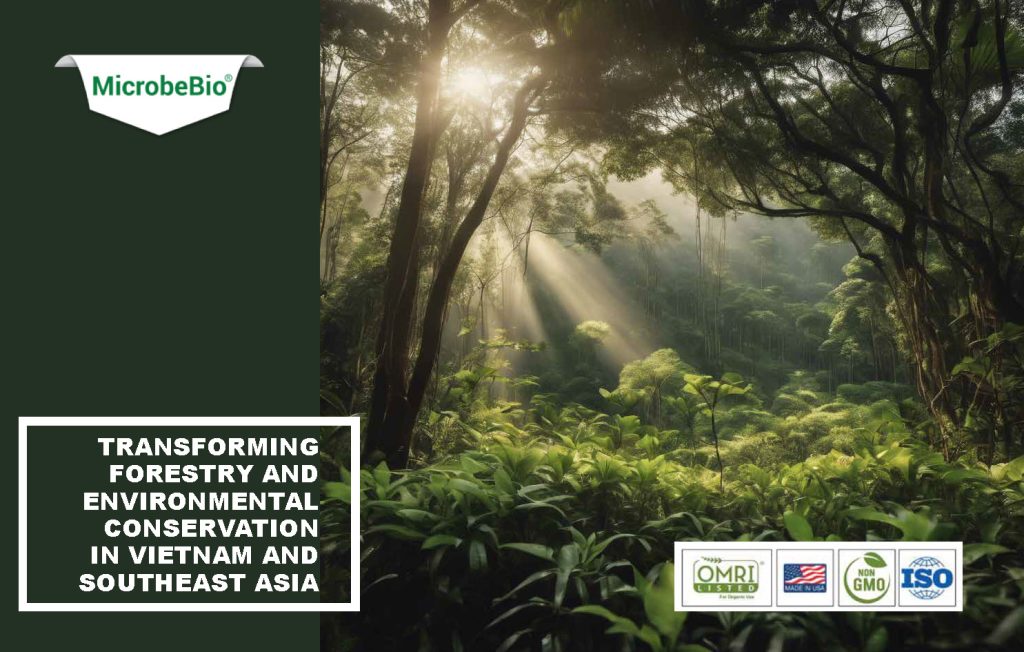 Transforming Forestry and Environmental Conservation in Vietnam and Southeast Asia