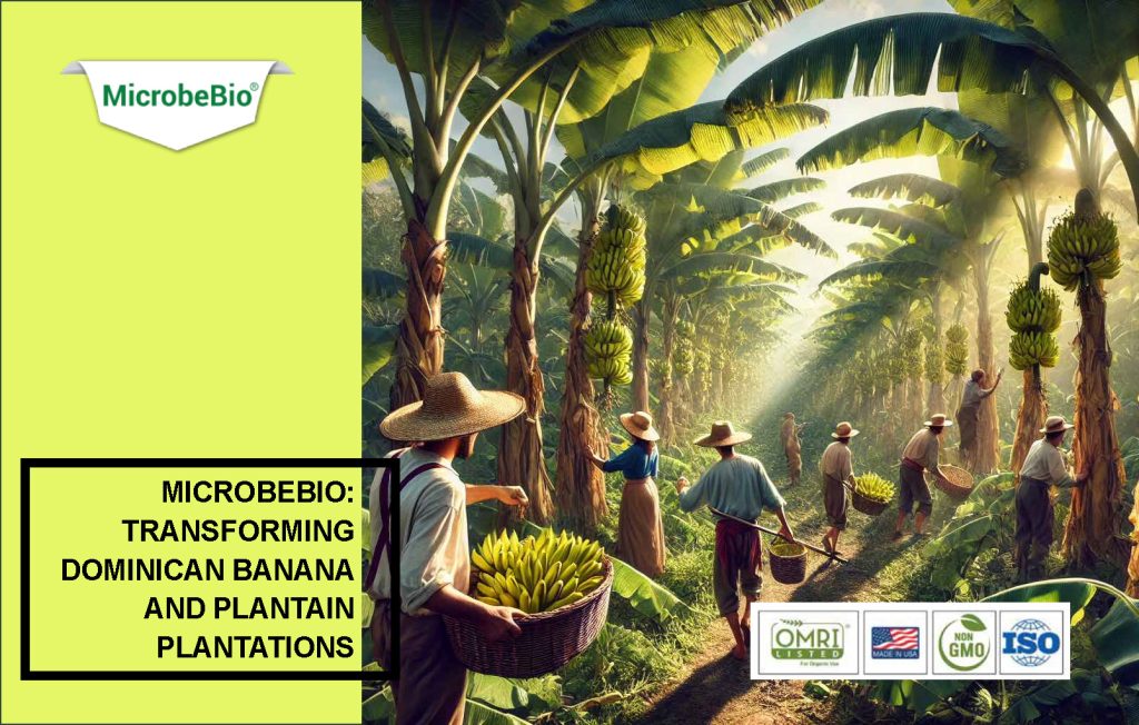 Microbebio: Transforming Dominican Banana and Plantain Plantations