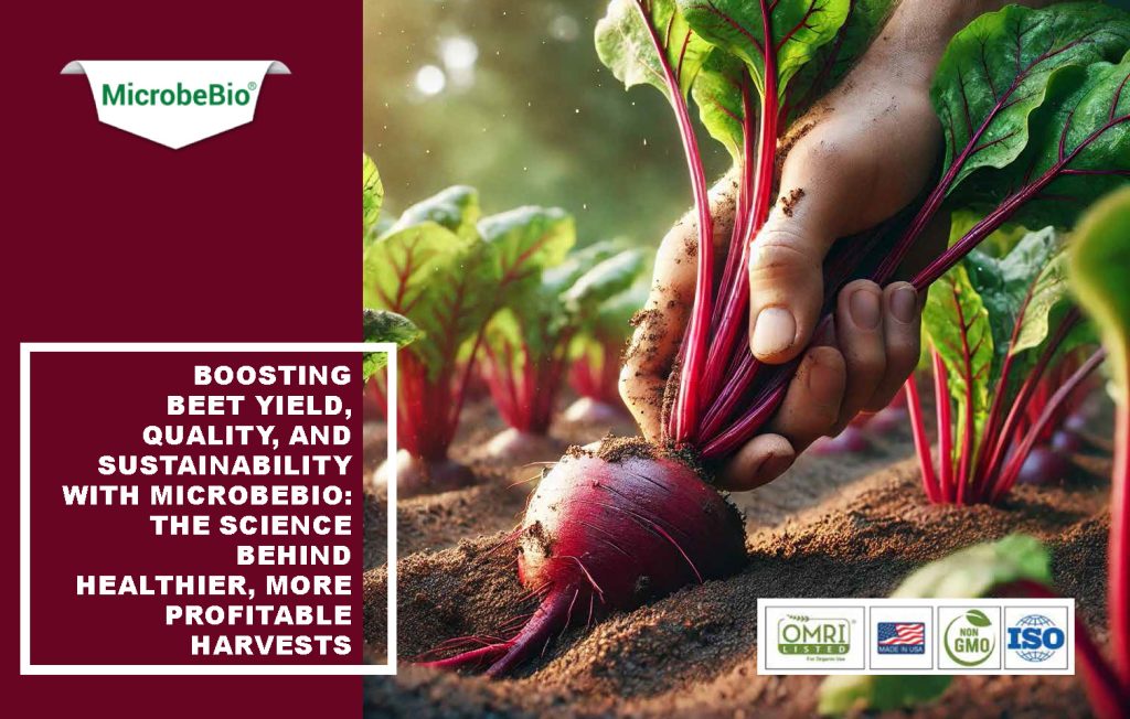 Boost Organic Farming with Microbebio’s Advanced Microbial & Biorational Solutions