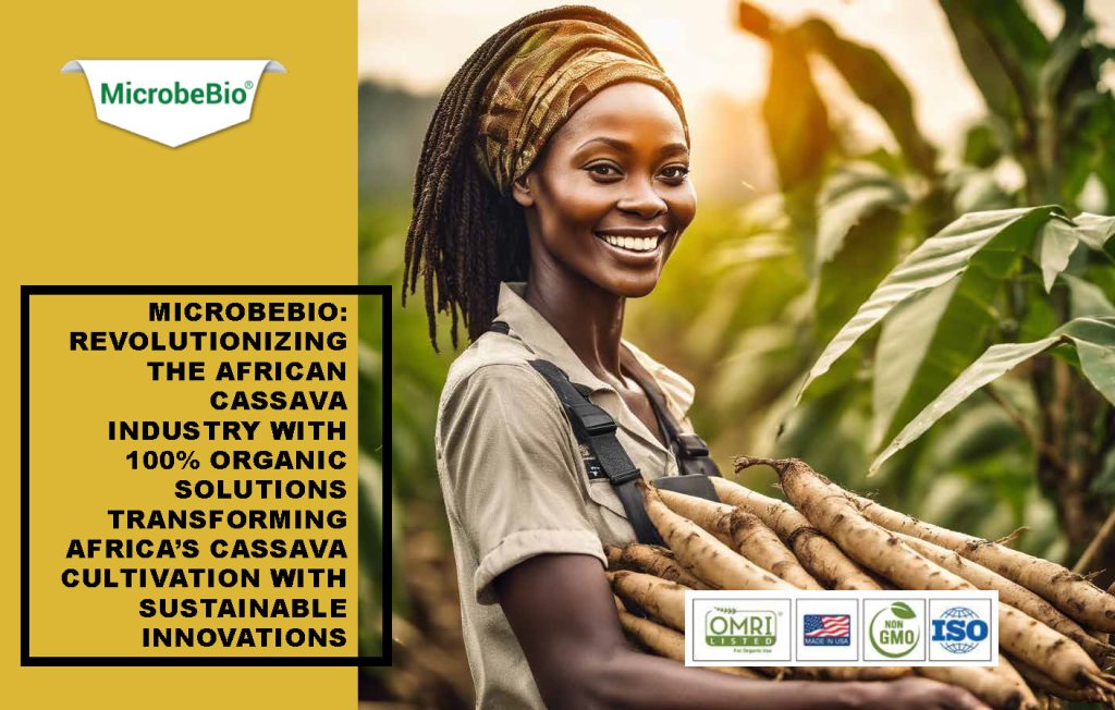 Microbebio: Revolutionizing the African Cassava Industry with 100% Organic Solutions Transforming Africa’s Cassava Cultivation with Sustainable Innovations