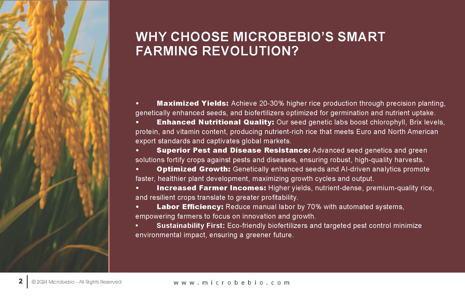 Revolutionize Rice Farming with Microbebio-Transforming 5000 Hectares in the Northern Dominican Republic_Page_2