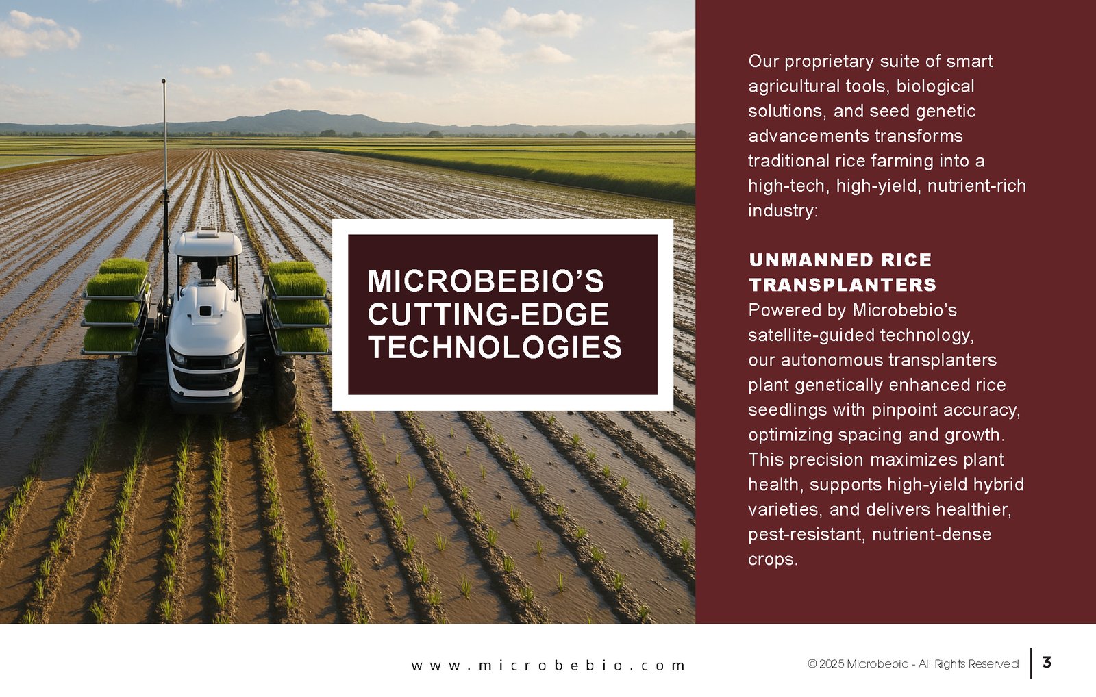 Revolutionize Rice Farming with Microbebio-Transforming 5000 Hectares in the Northern Dominican Republic_Page_3