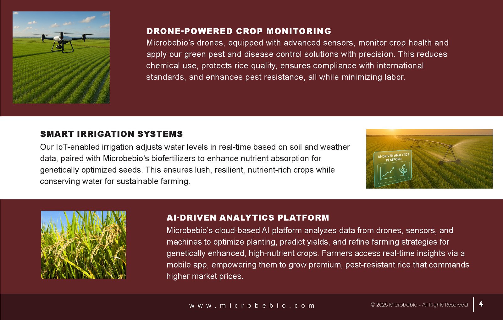 Revolutionize Rice Farming with Microbebio-Transforming 5000 Hectares in the Northern Dominican Republic_Page_4
