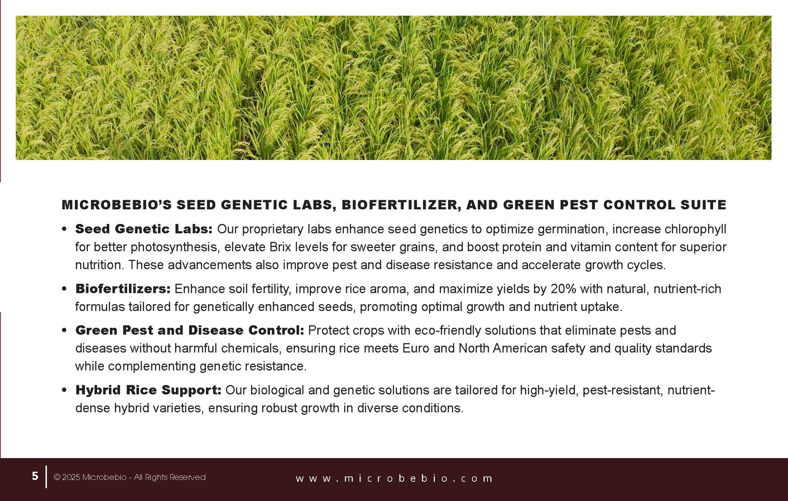 Revolutionize Rice Farming with Microbebio-Transforming 5000 Hectares in the Northern Dominican Republic_Page_5