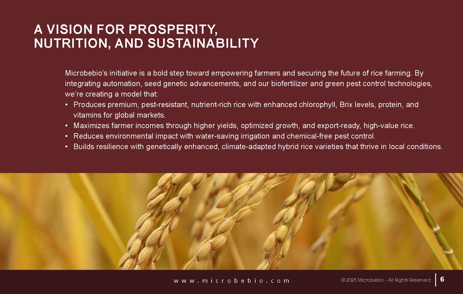 Revolutionize Rice Farming with Microbebio-Transforming 5000 Hectares in the Northern Dominican Republic_Page_6