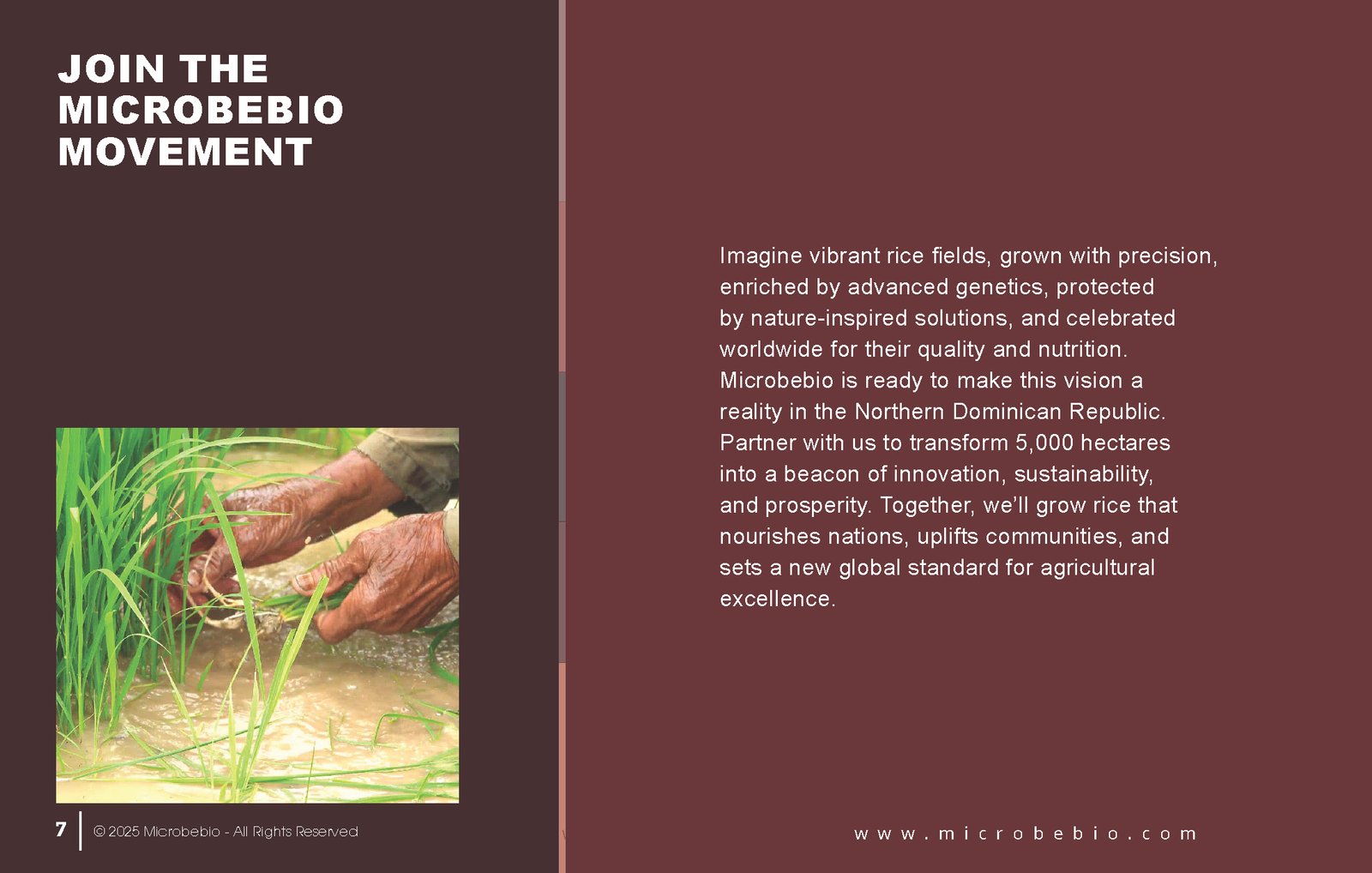 Revolutionize Rice Farming with Microbebio-Transforming 5000 Hectares in the Northern Dominican Republic_Page_7