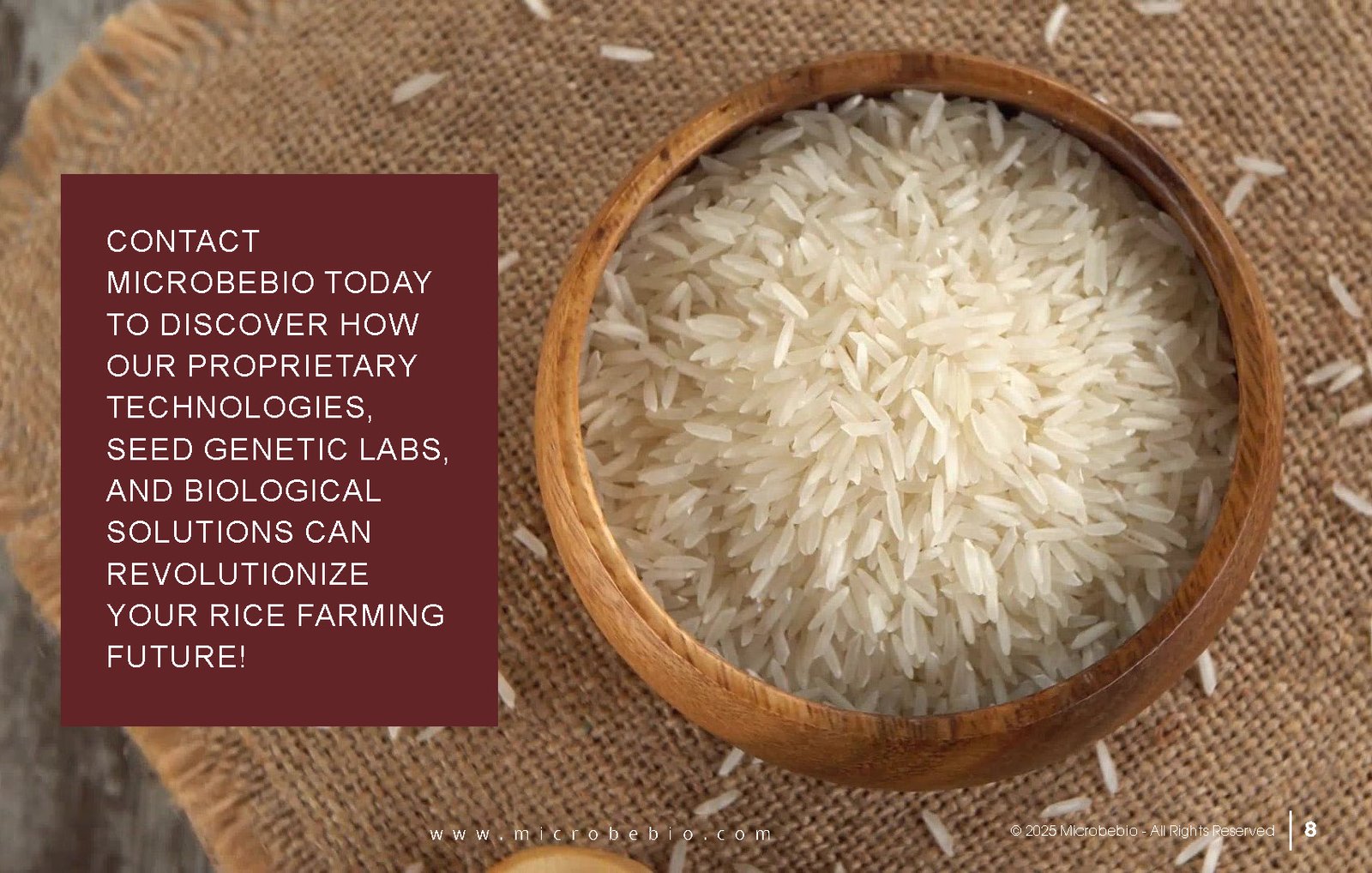 Revolutionize Rice Farming with Microbebio-Transforming 5000 Hectares in the Northern Dominican Republic_Page_8