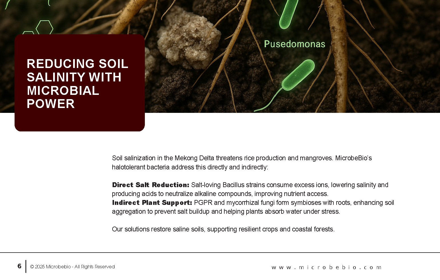 Reviving Vietnam- Forests with MicrobeBio-Sustainable Soil Solutions for Heavy Metal Cleanup and Bioremediation_Page_06