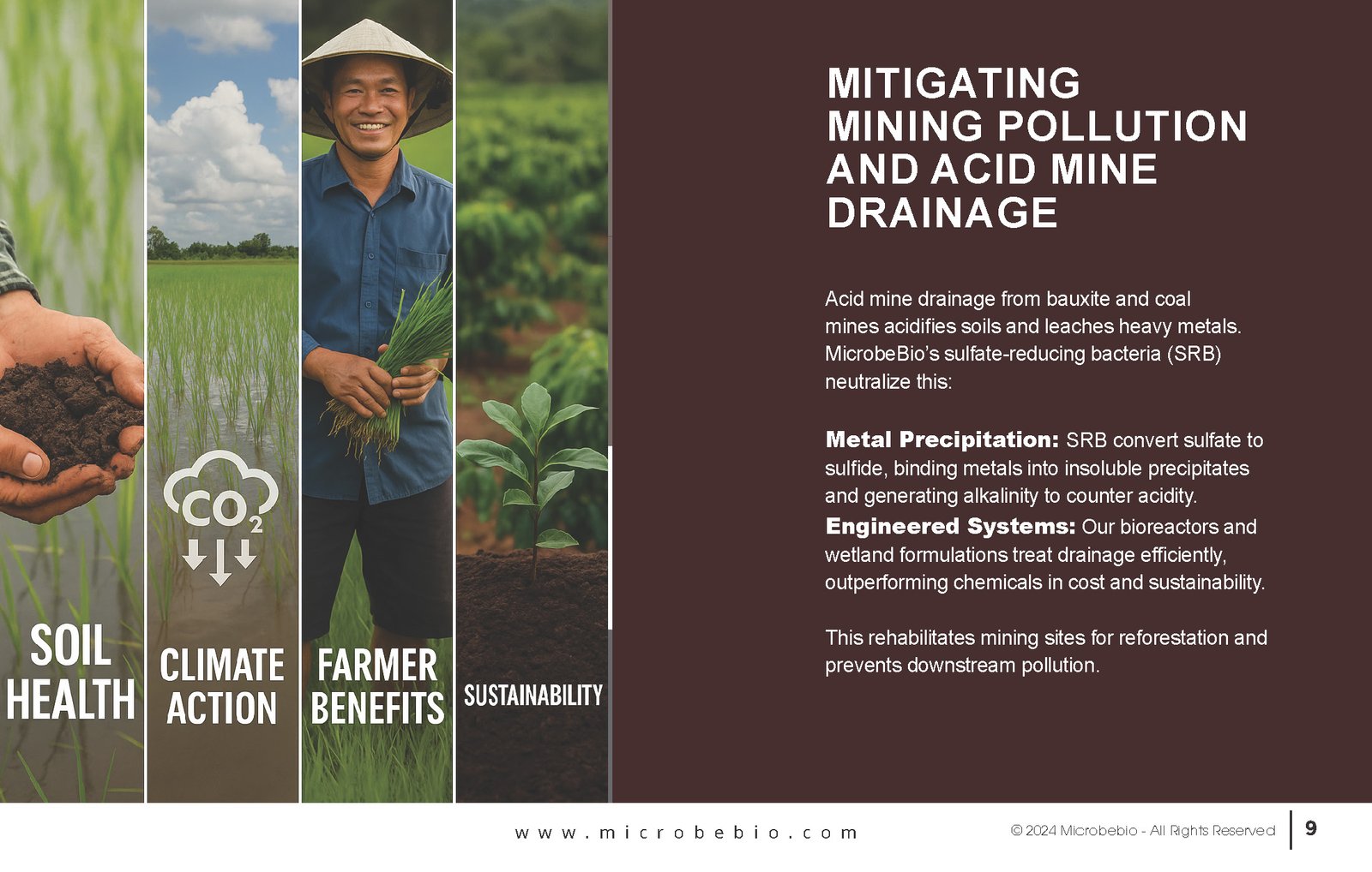 Reviving Vietnam- Forests with MicrobeBio-Sustainable Soil Solutions for Heavy Metal Cleanup and Bioremediation_Page_09