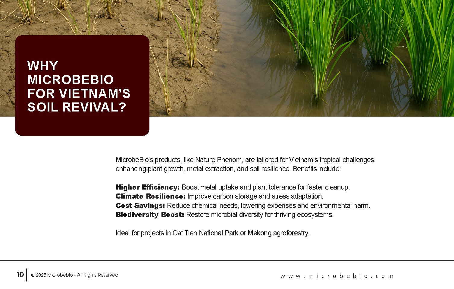 Reviving Vietnam- Forests with MicrobeBio-Sustainable Soil Solutions for Heavy Metal Cleanup and Bioremediation_Page_10