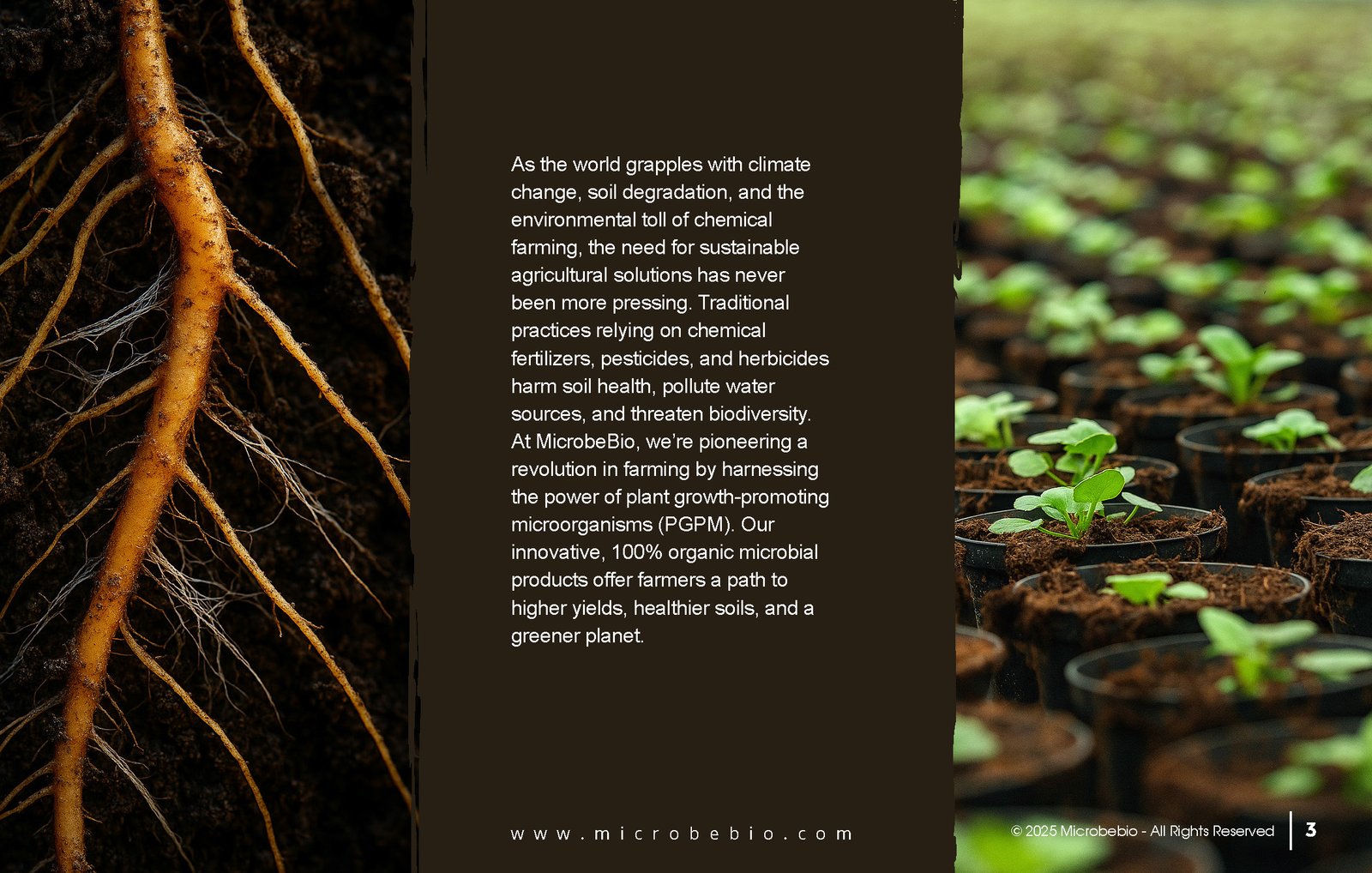 Unlocking the Future of Farming-How MicrobeBio-Microbial Solutions Drive Sustainable Agriculture _Page_03