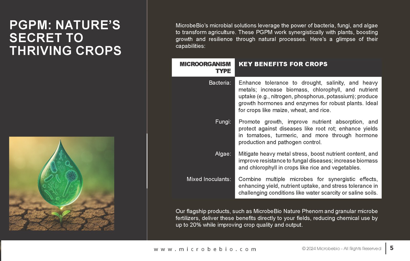 Unlocking the Future of Farming-How MicrobeBio-Microbial Solutions Drive Sustainable Agriculture _Page_05