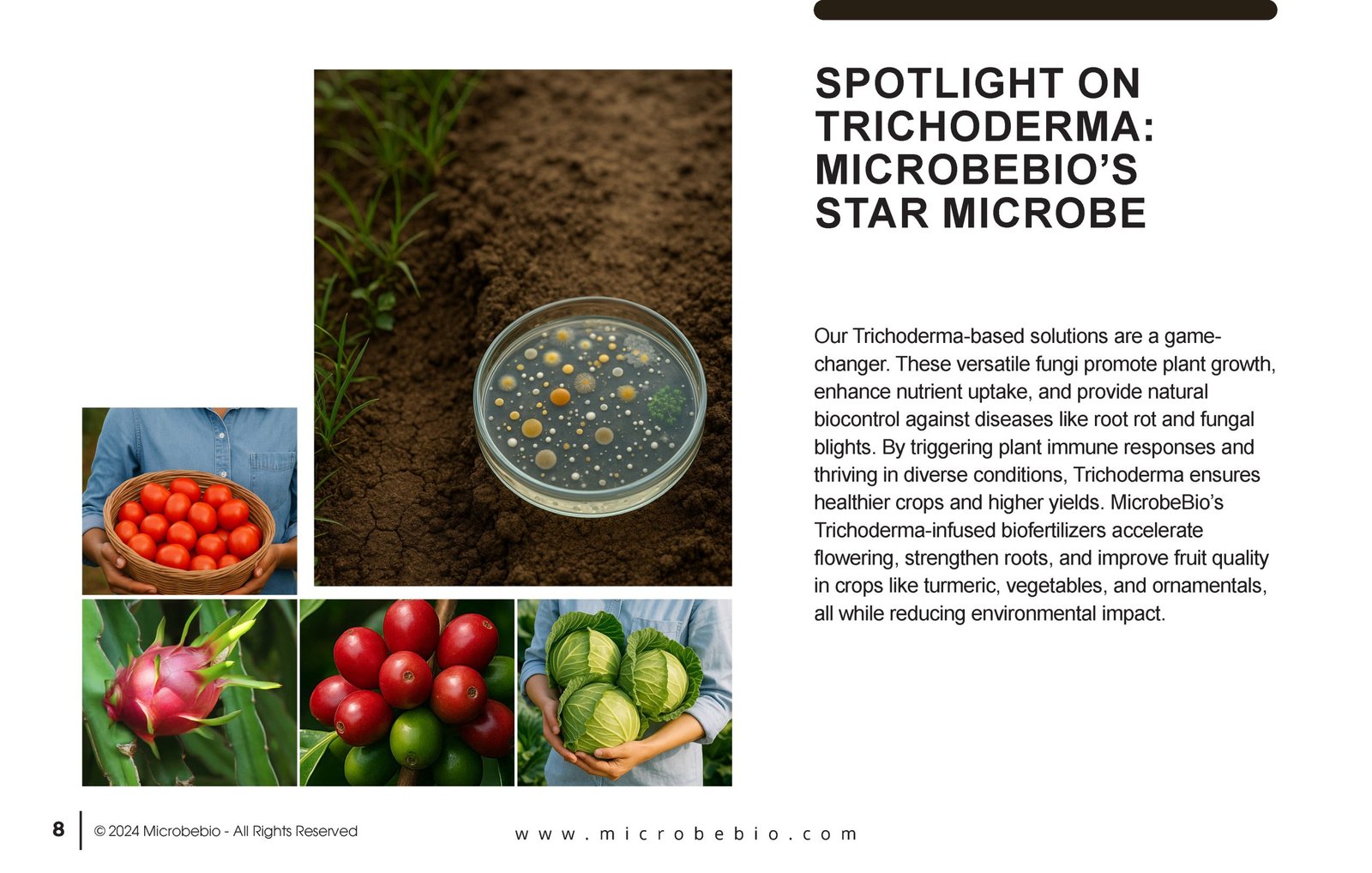 Unlocking the Future of Farming-How MicrobeBio-Microbial Solutions Drive Sustainable Agriculture _Page_08