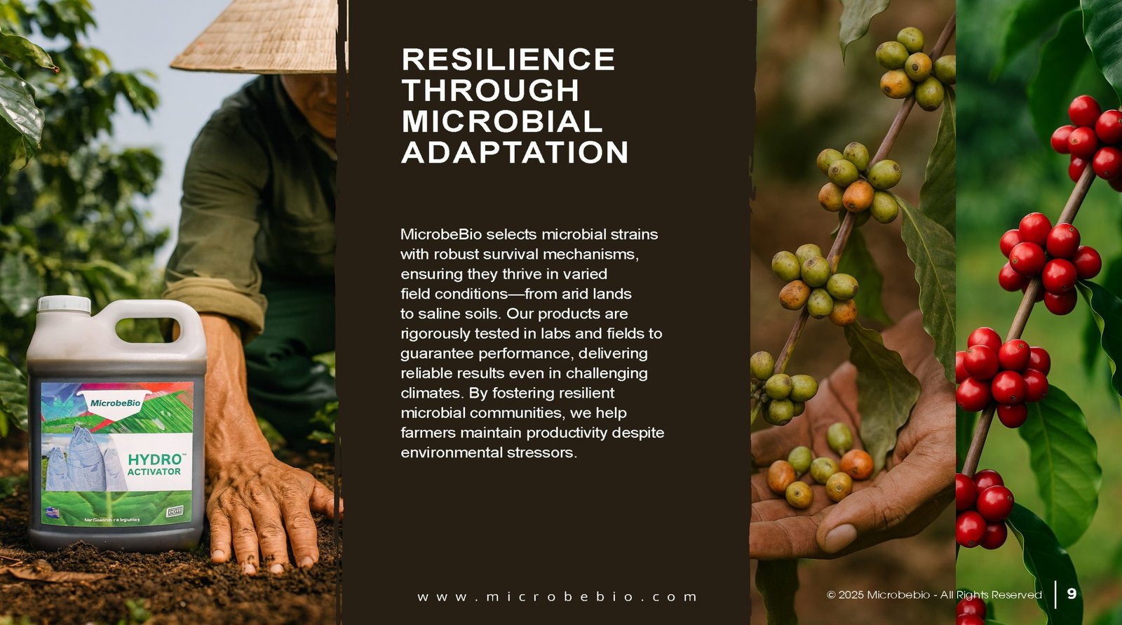 Unlocking the Future of Farming-How MicrobeBio-Microbial Solutions Drive Sustainable Agriculture _Page_09