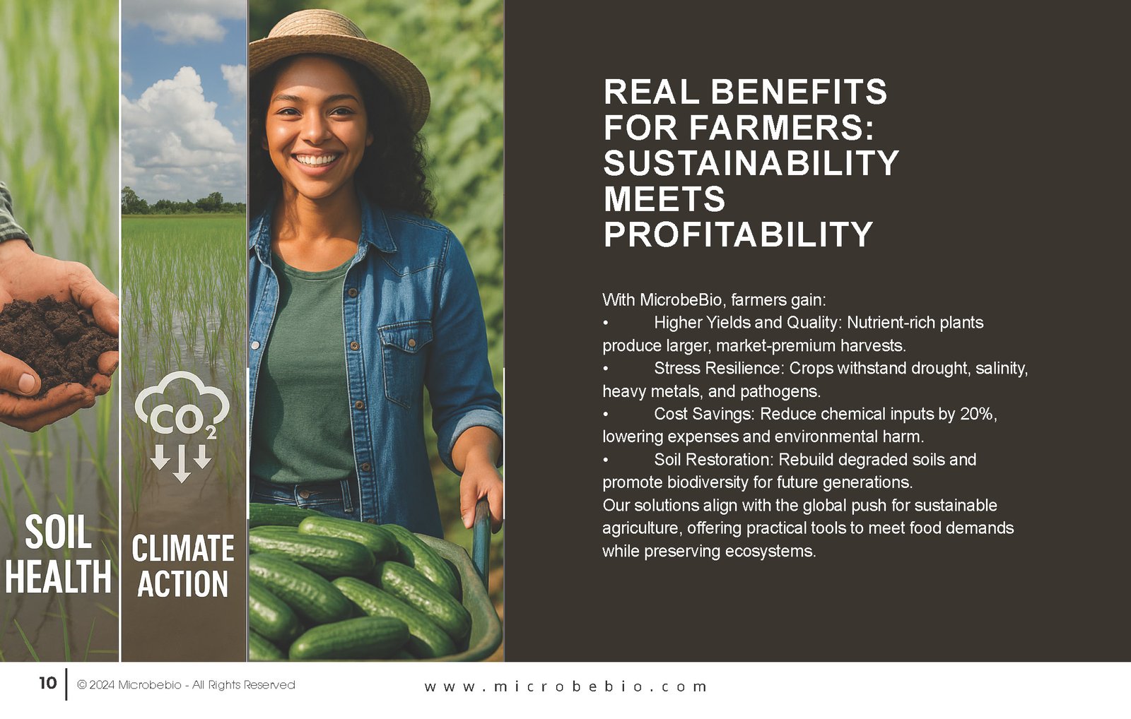 Unlocking the Future of Farming-How MicrobeBio-Microbial Solutions Drive Sustainable Agriculture _Page_10