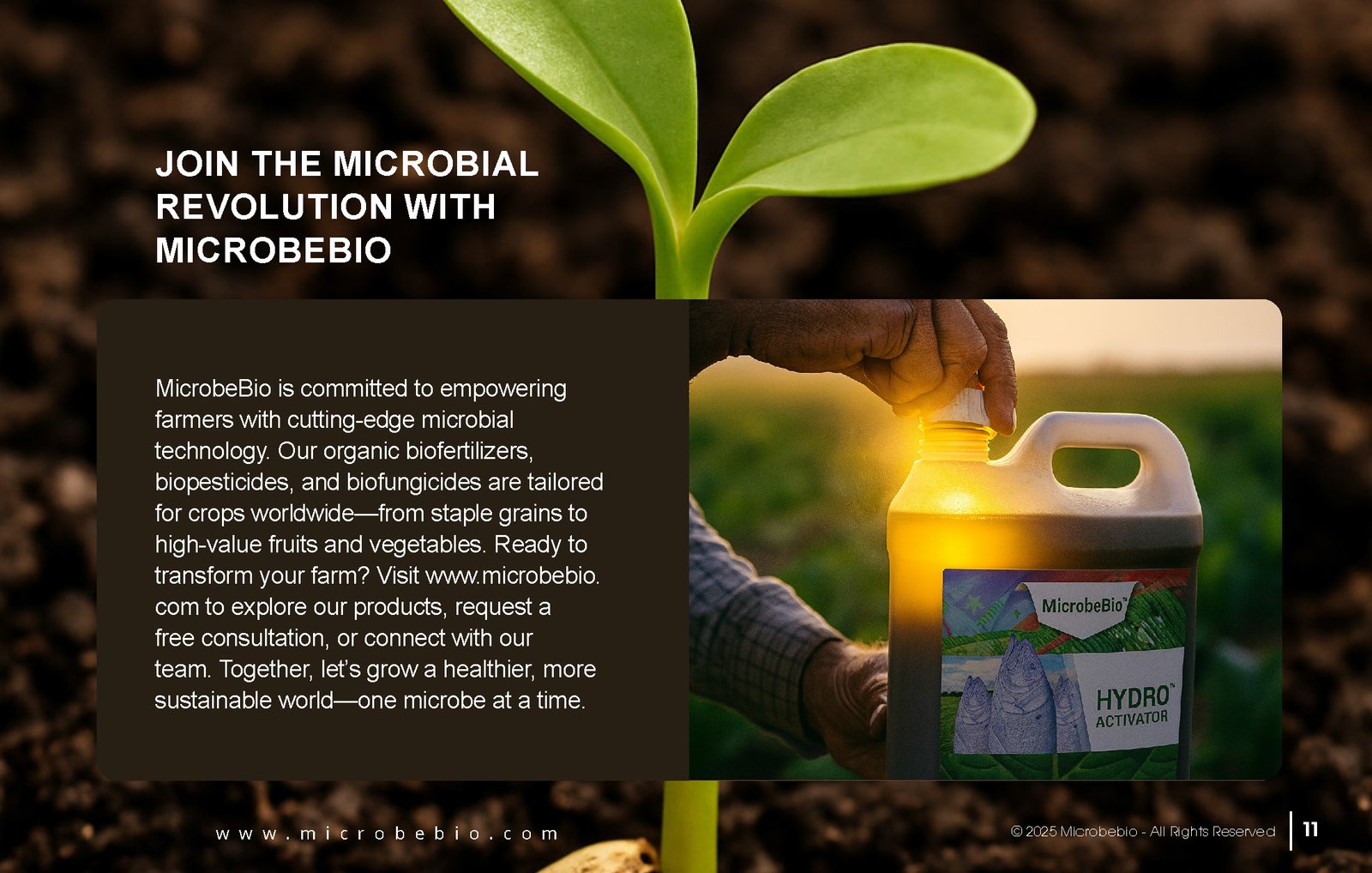 Unlocking the Future of Farming-How MicrobeBio-Microbial Solutions Drive Sustainable Agriculture _Page_11