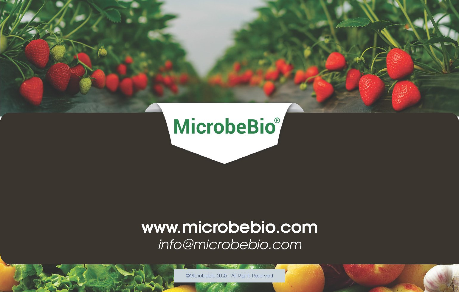 Unlocking the Future of Farming-How MicrobeBio-Microbial Solutions Drive Sustainable Agriculture _Page_12