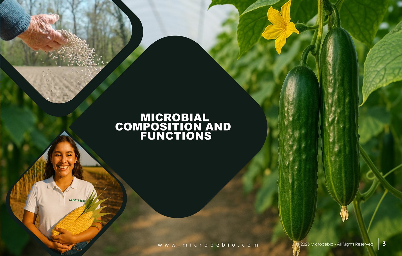 MicrobeBio X3-Complete Biological Pest Defense for Sustainable Crop Protection_Page_03