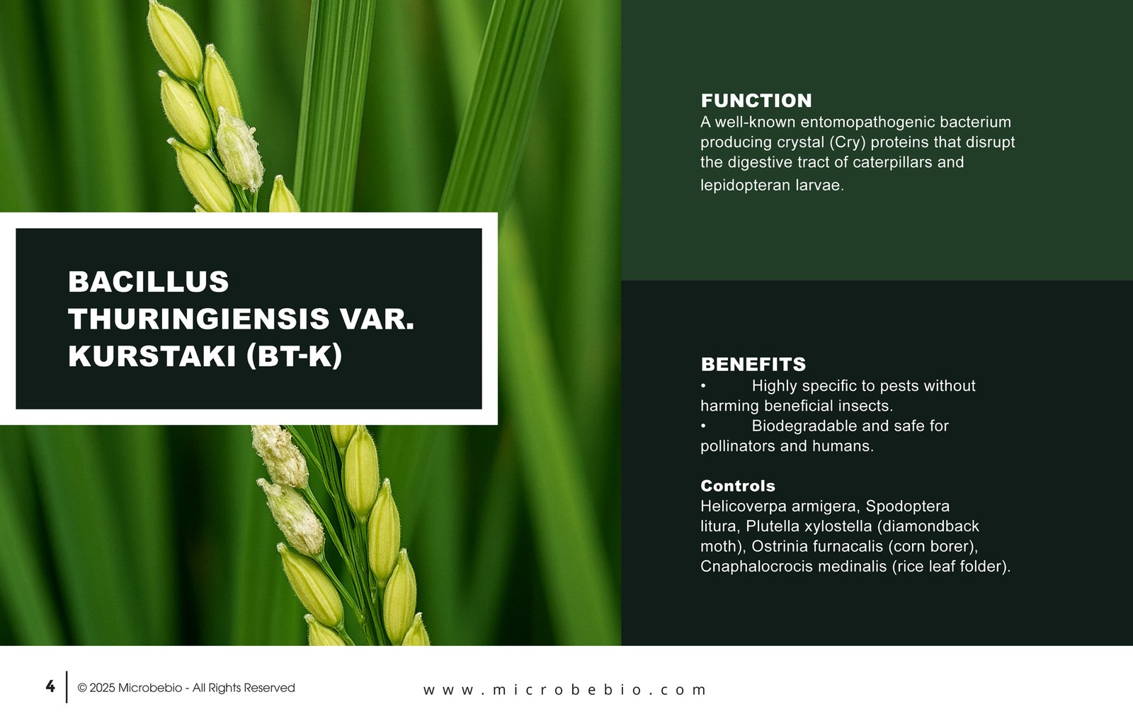 MicrobeBio X3-Complete Biological Pest Defense for Sustainable Crop Protection_Page_04