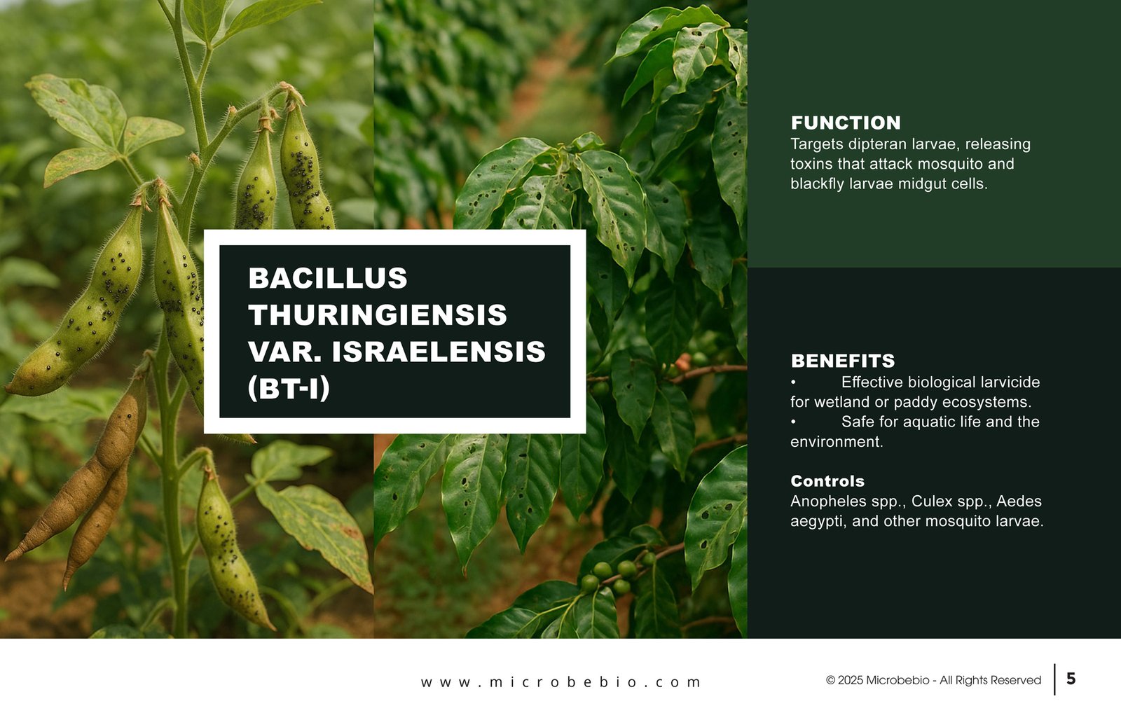 MicrobeBio X3-Complete Biological Pest Defense for Sustainable Crop Protection_Page_05