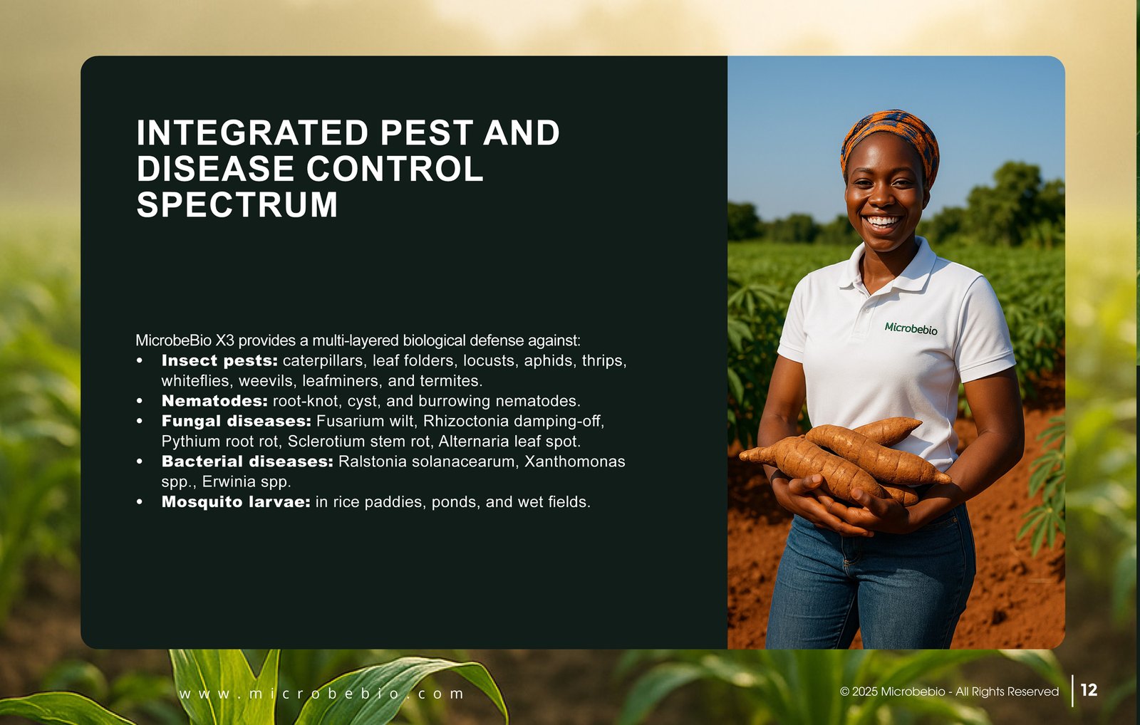 MicrobeBio X3-Complete Biological Pest Defense for Sustainable Crop Protection_Page_12