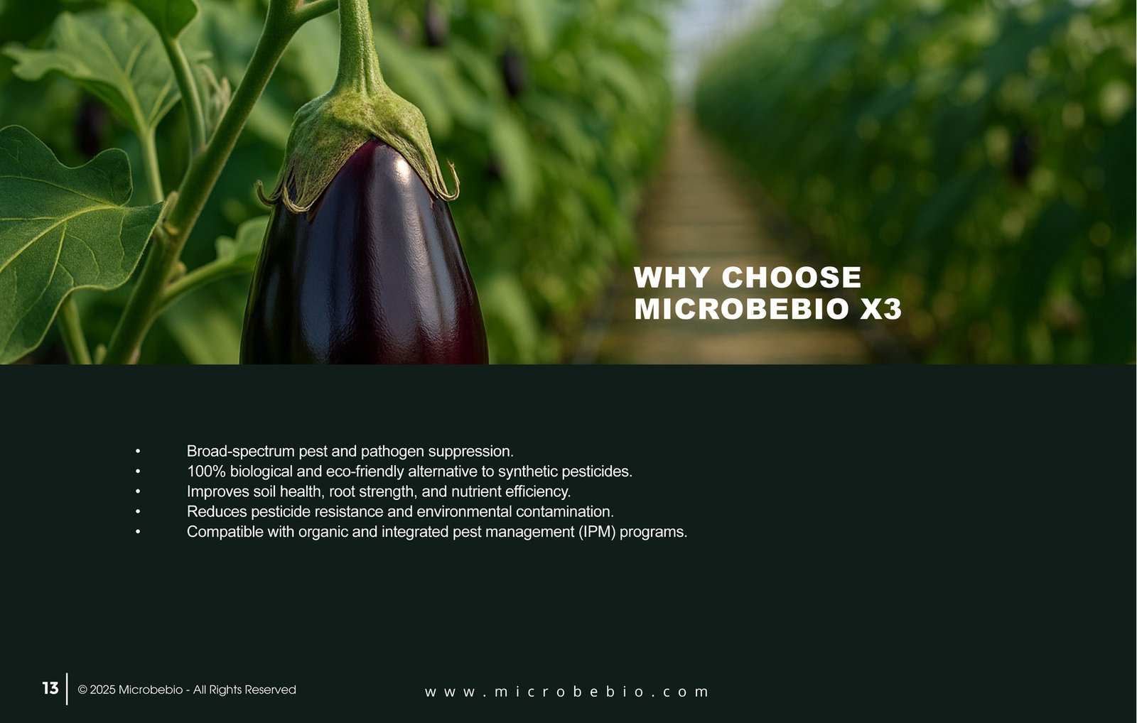 MicrobeBio X3-Complete Biological Pest Defense for Sustainable Crop Protection_Page_13