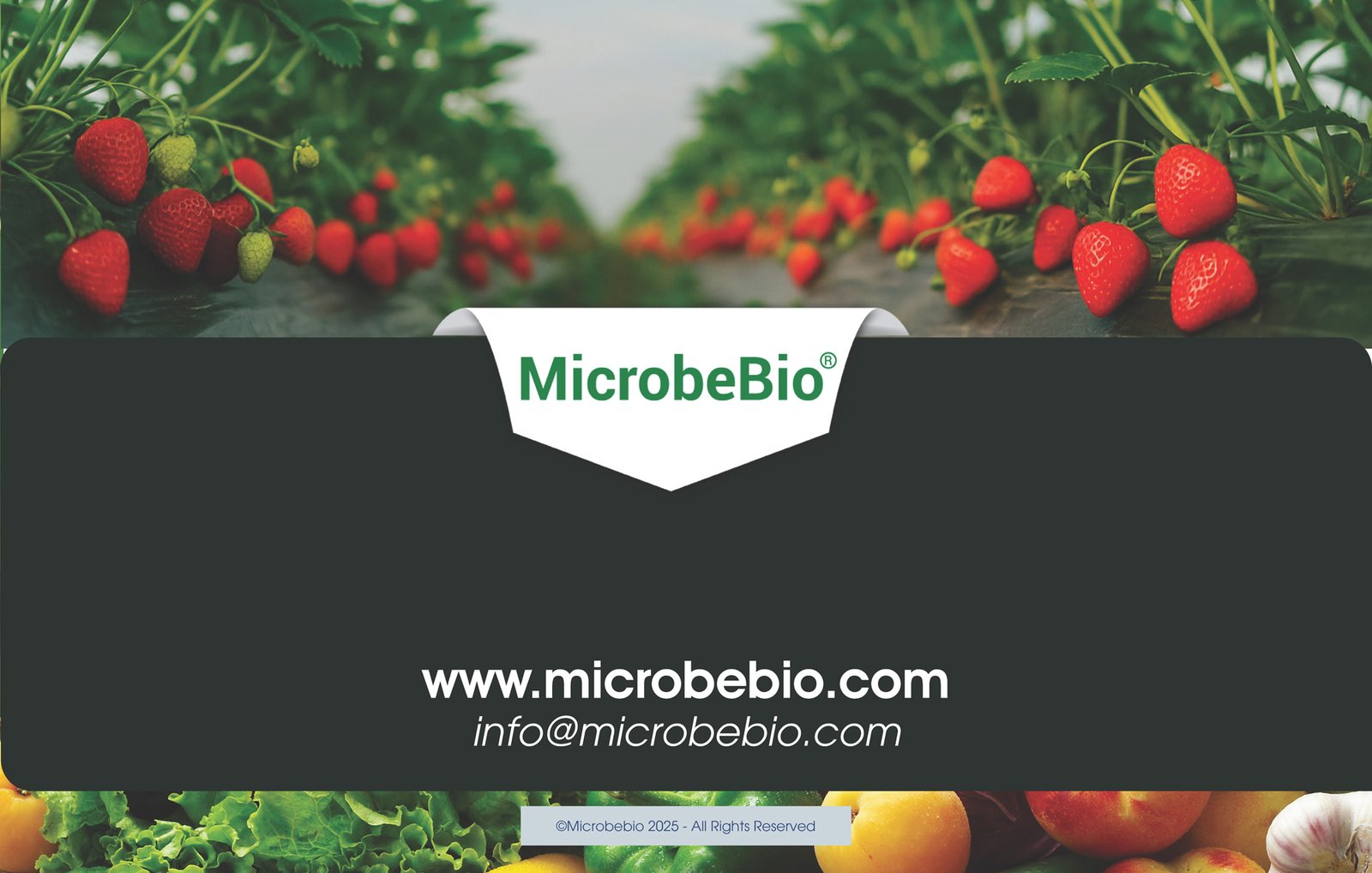MicrobeBio X3-Complete Biological Pest Defense for Sustainable Crop Protection_Page_15