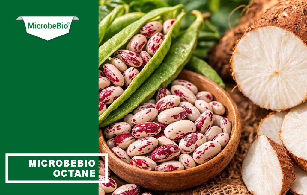 MicrobeBio Octane 16-0-0 is a premium, plant-derived organic nitrogen fertilizer that delivers a powerful 16% water-soluble nitrogen in the form of free amino acids and peptides. This advanced formula provides plants with readily available nitrogen that is absorbed quickly and efficiently through both roots and foliage, bypassing the energy-intensive conversion steps required by traditional nitrogen sources. The result is faster uptake, reduced nutrient loss, and superior nitrogen use efficiency.