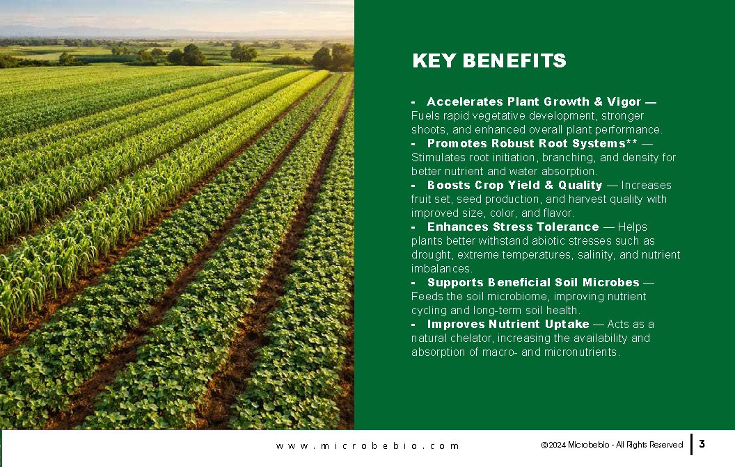 MicrobeBio Octane 16-0-0 is a premium, plant-derived organic nitrogen fertilizer that delivers a powerful 16% water-soluble nitrogen in the form of free amino acids and peptides. This advanced formula provides plants with readily available nitrogen that is absorbed quickly and efficiently through both roots and foliage, bypassing the energy-intensive conversion steps required by traditional nitrogen sources. The result is faster uptake, reduced nutrient loss, and superior nitrogen use efficiency.