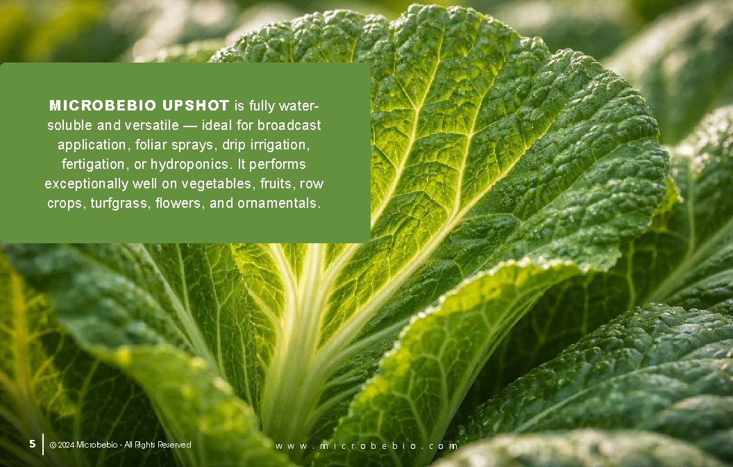 MicrobeBio Upshot is an advanced, balanced organic fertilizer (7-7-7) that delivers complete plant nutrition in a highly efficient, water-soluble form. Formulated with premium plant-derived nutrients, amino acids, peptides, vitamins, and natural biostimulants, it provides a powerful 1:1:1 ratio of nitrogen, phosphorus, and potassium along with trace minerals and bioactive compounds. This all-in-one formula supports every stage of plant development from vigorous vegetative growth and strong root systems to abundant flowering, fruiting, and improved crop quality. Its unique composition allows for rapid absorption through both roots and foliage, delivering immediate results while building long-term soil health. Balanced Nutrition for All Growth Stages — Supplies equal parts of nitrogen for lush green growth, phosphorus for strong roots and energy transfer, and potassium for disease resistance, fruit development, and overall plant hardiness. Rapid Uptake and High Efficiency — Contains free amino acids and peptides that plants can absorb quickly, reducing nutrient loss and improving fertilizer use efficiency compared to traditional sources. Promotes Explosive Growth & Vigor — Stimulates robust shoot and root development, leading to healthier, more resilient plants with faster establishment and higher productivity. Enhances Yield and Crop Quality — Increases fruit set, size, color, flavor, and nutritional value while supporting uniform ripening and better harvest quality. Boosts Stress Tolerance — Helps plants withstand environmental stresses such as drought, heat, cold, salinity, and transplant shock through improved physiological resilience. Feeds Beneficial Soil Microbes — Acts as a powerful biostimulant that activates and nourishes the soil microbiome, enhancing nutrient cycling, organic matter content, and long-term soil fertility. Improves Nutrient Availability — Naturally chelates and unlocks bound nutrients in the soil, promoting better overall uptake of macro- and micronutrients. Low Salt Index & Gentle on Plants — Minimizes the risk of fertilizer burn while being safe for use in both conventional and organic production systems. MICROBEBIO UPSHOT is fully water-soluble and versatile — ideal for broadcast application, foliar sprays, drip irrigation, fertigation, or hydroponics. It performs exceptionally well on vegetables, fruits, row crops, turfgrass, flowers, and ornamentals.
