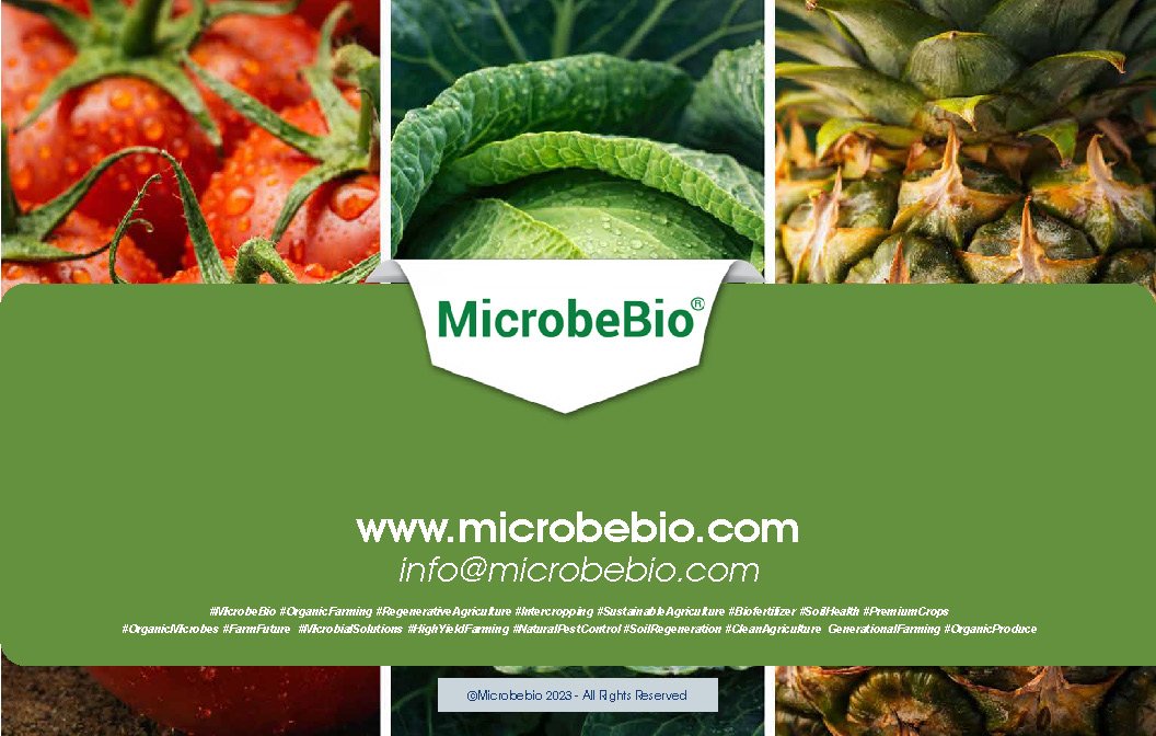 MicrobeBio Upshot is an advanced, balanced organic fertilizer (7-7-7) that delivers complete plant nutrition in a highly efficient, water-soluble form. Formulated with premium plant-derived nutrients, amino acids, peptides, vitamins, and natural biostimulants, it provides a powerful 1:1:1 ratio of nitrogen, phosphorus, and potassium along with trace minerals and bioactive compounds. This all-in-one formula supports every stage of plant development from vigorous vegetative growth and strong root systems to abundant flowering, fruiting, and improved crop quality. Its unique composition allows for rapid absorption through both roots and foliage, delivering immediate results while building long-term soil health. Balanced Nutrition for All Growth Stages — Supplies equal parts of nitrogen for lush green growth, phosphorus for strong roots and energy transfer, and potassium for disease resistance, fruit development, and overall plant hardiness. Rapid Uptake and High Efficiency — Contains free amino acids and peptides that plants can absorb quickly, reducing nutrient loss and improving fertilizer use efficiency compared to traditional sources. Promotes Explosive Growth & Vigor — Stimulates robust shoot and root development, leading to healthier, more resilient plants with faster establishment and higher productivity. Enhances Yield and Crop Quality — Increases fruit set, size, color, flavor, and nutritional value while supporting uniform ripening and better harvest quality. Boosts Stress Tolerance — Helps plants withstand environmental stresses such as drought, heat, cold, salinity, and transplant shock through improved physiological resilience. Feeds Beneficial Soil Microbes — Acts as a powerful biostimulant that activates and nourishes the soil microbiome, enhancing nutrient cycling, organic matter content, and long-term soil fertility. Improves Nutrient Availability — Naturally chelates and unlocks bound nutrients in the soil, promoting better overall uptake of macro- and micronutrients. Low Salt Index & Gentle on Plants — Minimizes the risk of fertilizer burn while being safe for use in both conventional and organic production systems. MICROBEBIO UPSHOT is fully water-soluble and versatile — ideal for broadcast application, foliar sprays, drip irrigation, fertigation, or hydroponics. It performs exceptionally well on vegetables, fruits, row crops, turfgrass, flowers, and ornamentals.
